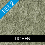 Lichen